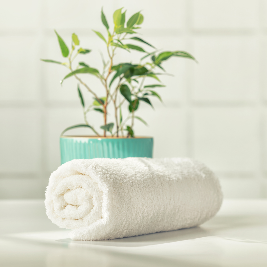 Aménagement d'une douche senior