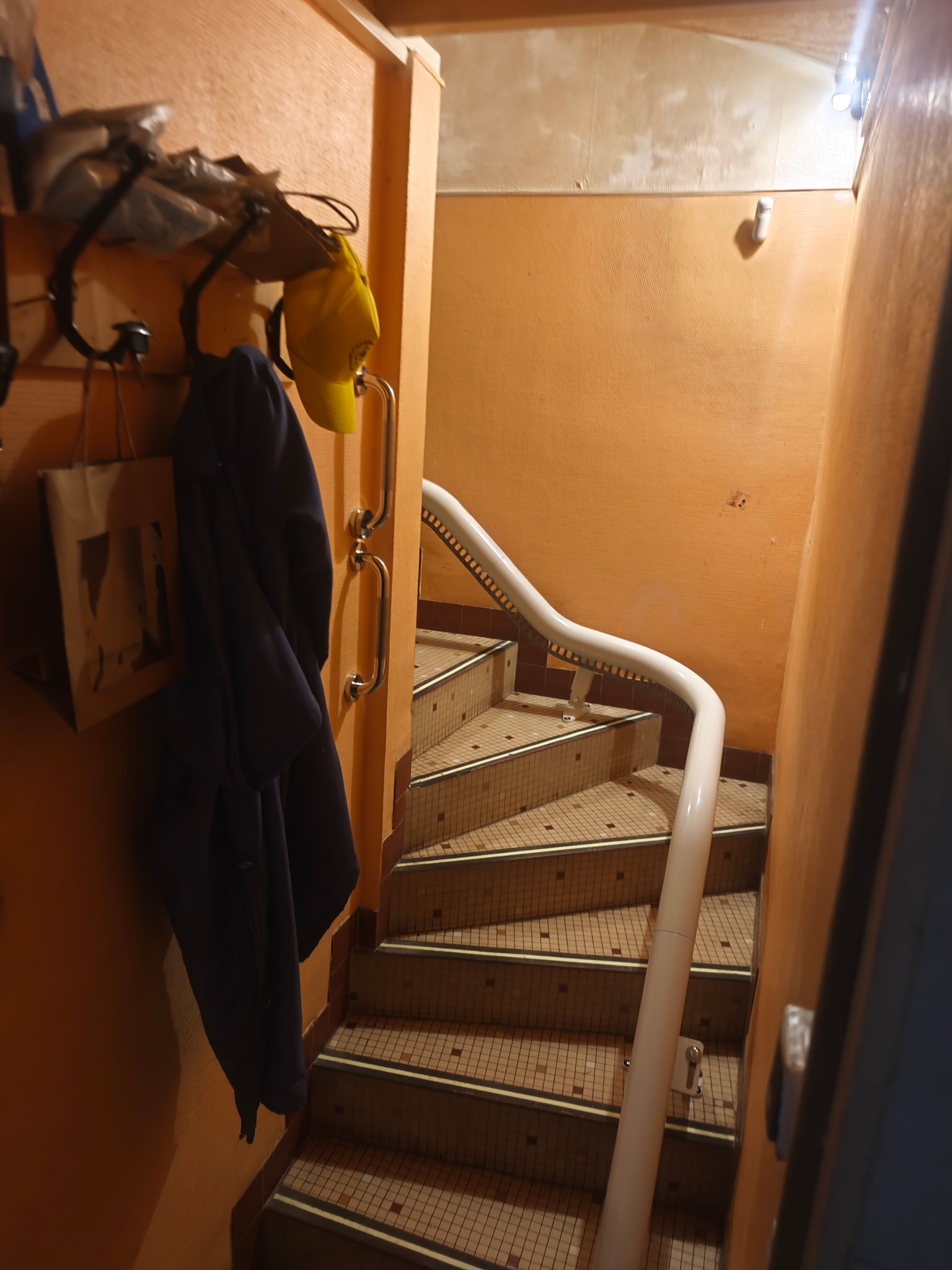 Monte-escalier après rénovation à Angers - DOMetVIE