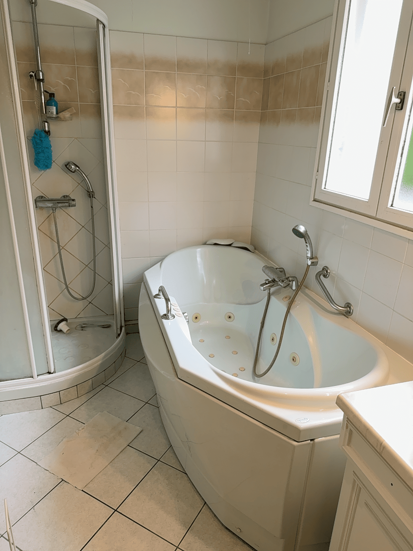 Salle de bain avant rénovation PMR à La Roche sur Yon - DOMetVIE